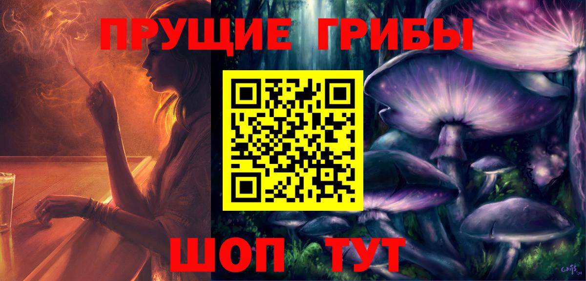 Галлюциногенные грибы Psilocybe Видное